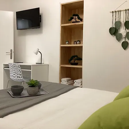 Altea 85m2 Climatise Parking Proche Sanctuaire * Lourdes